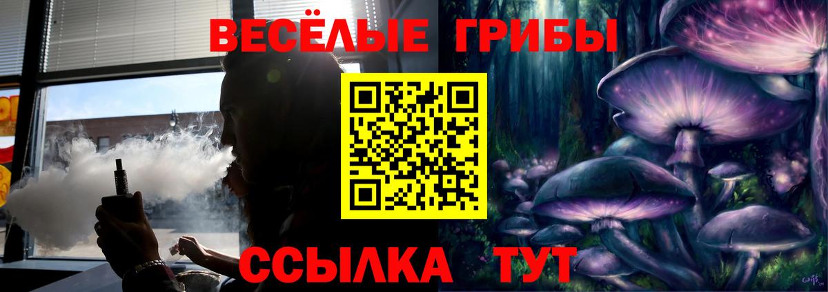 Обь  Псилоцибиновые грибы мухоморы  Вход с VPN 